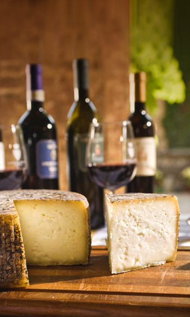 Pecorino cheese slice and glass of wine